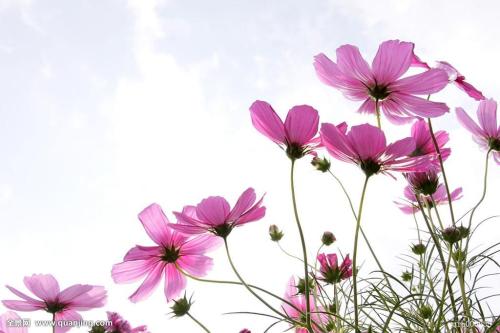 十二星座特点 这些星座天性洒脱不受拘束