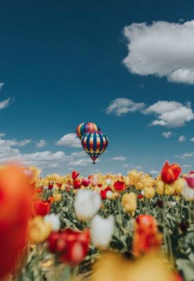 心理测试 测新的一年谁最易与你相生相克 要注意哪些方面