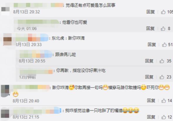 东北虎横穿马路与市民对视 网友大开脑洞 你瞅啥 再瞅一眼试试