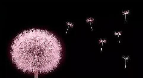 天长地久的爱情 却从来都不是你和我