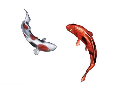 周公解梦 梦见大鱼是什么意思 它预示着什么呢