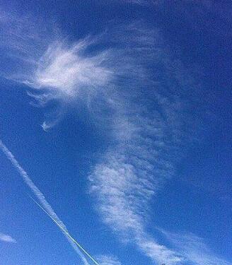 周公解梦 梦见龙在天上飞有什么预兆