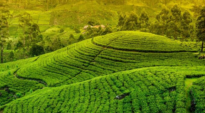 周公解梦 梦见丘陵怎么回事 梦见丘陵的详细解说