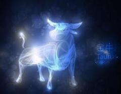 十二星座 金牛座今日运势