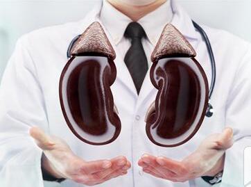 女性肾结石的早期症状是什么 诱发女性肾结石的原因有哪些