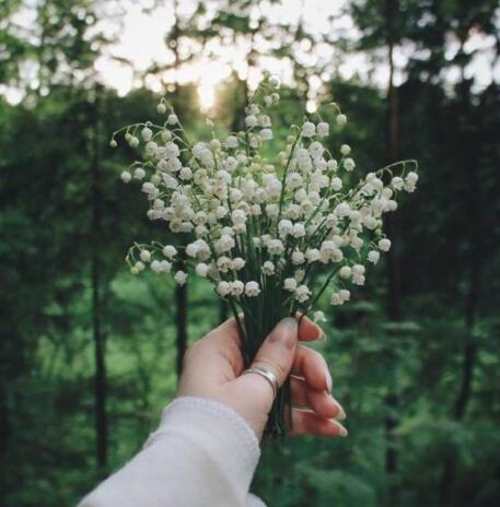 十二星座 2019年08月17日白羊座今日运势