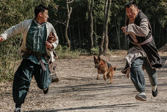 周公解梦 做梦梦见被狗追着跑 或许并没有什么恶意