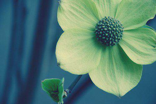 20句经典正能量的句子 青春励志语录