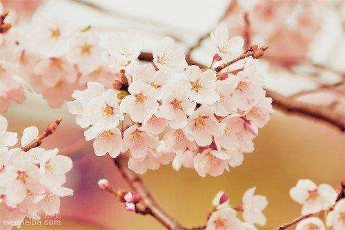 致自己的正能量句子 青春正能量句子