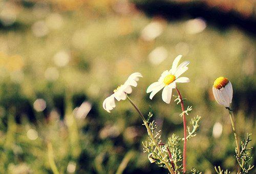 充满正能量的句子 青春正能量说说