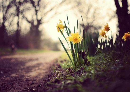 正能量短句 正能量的句子 语录