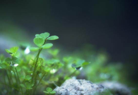 满满正能量的句子 发说说正能量的句子