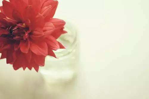 经典正能量语录 青春励志正能量句子