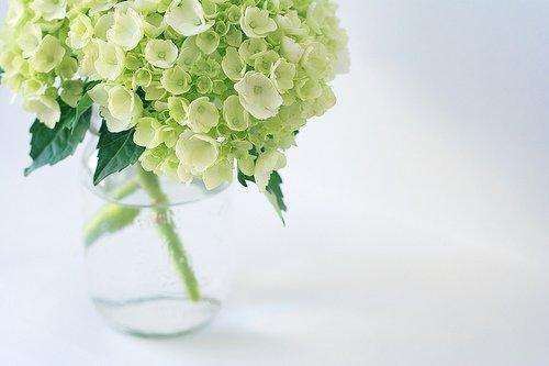 正能量句子 写给自己的霸气一段话