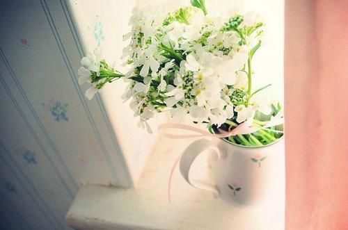 坐飞机时这几种 不能带第一次坐飞机的人要注意了建议收藏