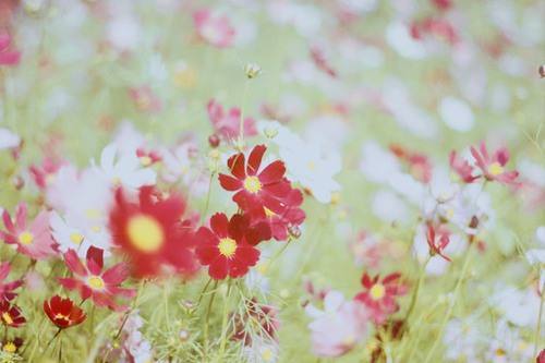 魔道祖师介绍 魔道祖师简介