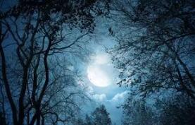 红颜幽魂苏妲己 大黑狗是吃死人肉长大的 所以身上有一股骚味