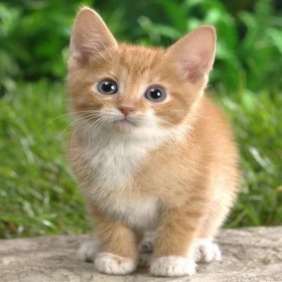 腿抽筋是什么原因 腿抽筋最快的解决方法