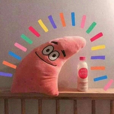 2019年属鸡人的全年运势 十二生肖