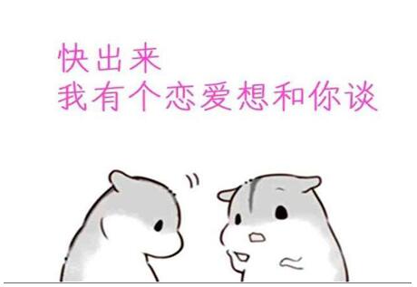 床上攻略：床上让男朋友秒硬的污句子