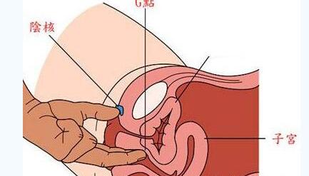 女性阴道内最能激起性欲的确切位置G点 宝贝我好想要你给我