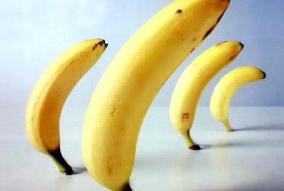 勃起硬度决定性生活质量 勃起的四个等级，你知道吗？