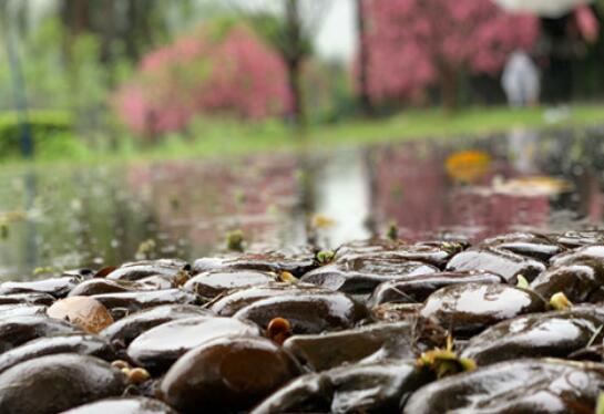 十二生肖：2019下半年有望升职的生肖