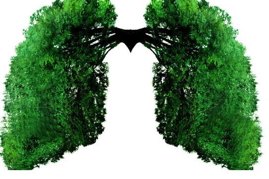 秋天养肺，关键要润！秋天养肺的10条要点