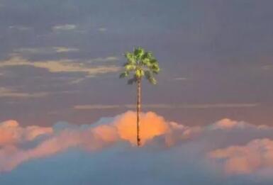 简短文艺小清新温柔文案 朋友圈文艺范说说大全