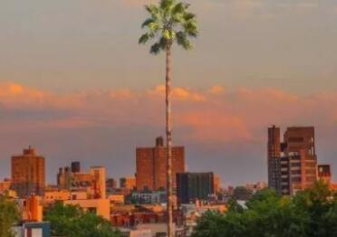 送男人礼物送什么好?男人内心想收到的礼物,十大男生喜欢的礼物排行榜