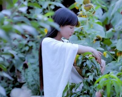 李子柒是网红吗她是谁 坐拥千万粉丝 自媒体时代最耀眼的存在