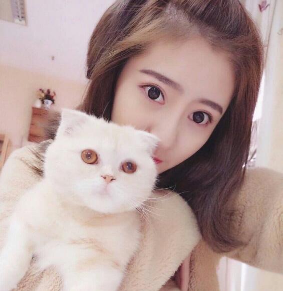 不要再来了饶了我 老师不行我做不下去了小说