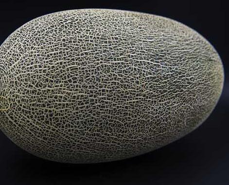 如何预防妊娠纹？妊娠纹的形成原因 治疗妊娠纹小窍门