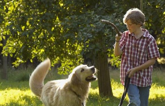 八字本身好不好？ 八字命理中的身旺与身弱