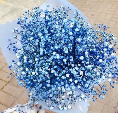 学校男生每到中午就玩我胸|嘴里发出嗯嗯哼哼的吟叫声