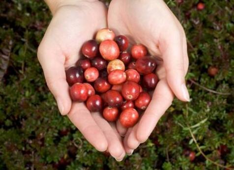 蔓越莓有哪些功效和作用 蔓越莓不能和什么一起吃