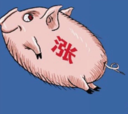 猪肉最新相关 猪肉终于降价 三个月不知肉味的生活