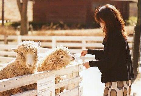 滋滋的声音自两人结合传来：嗯宝贝帮我好不好用嘴