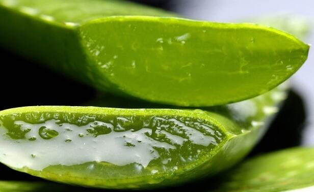 秋季干燥皮肤干干的真让人不舒服 秋季九种补水食物让肌肤喝饱水