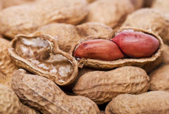 每天吃花生半年体重减掉10斤 花生减肥是生吃好还是熟吃好