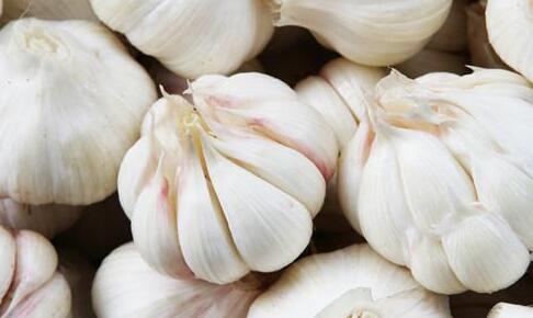 感冒咳嗽只能打针吗？原来风寒感冒咳嗽只需要一粒蒜就能解决