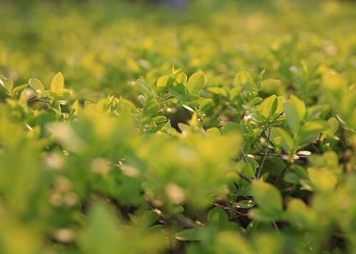  新的周一 分享一些幽默舒缓心情的句子 希望能带给你好心情