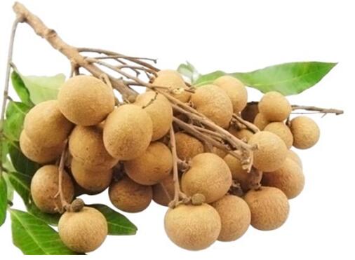 哪些食物可以美容养颜 常吃这几种食物改善气血