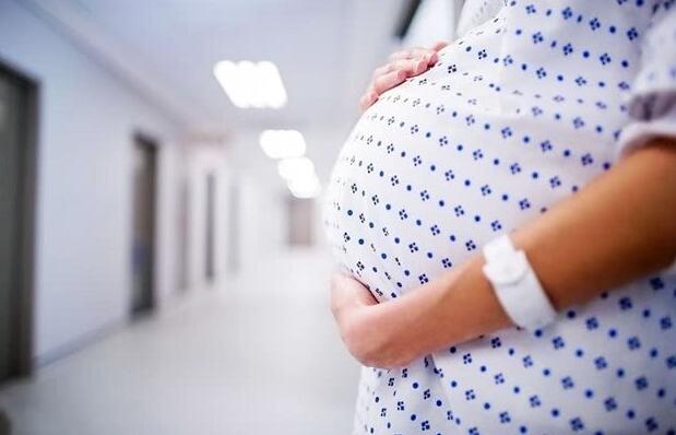 孕妈抓住胎儿发育的4个关键期 营养会进补的更好