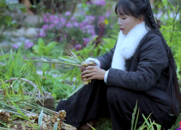 李子柒最新相关 央视评李子柒 没一个字夸中国好