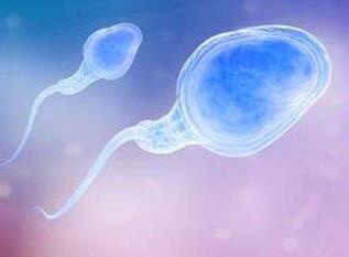 精液的保健作用不容忽视 精液对女人有哪些好处呢？