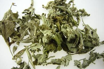 女性朋友有痛经症状的用艾叶泡澡可驱寒 艾叶泡澡的注意事项