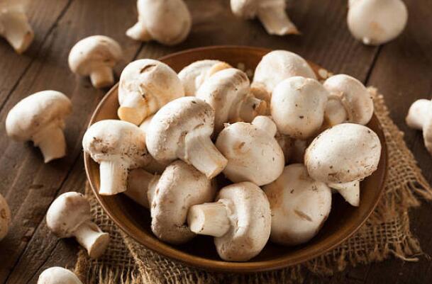 蘑菇不仅热量和脂肪含量低 营养价值有哪些