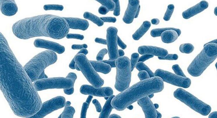 益生菌真的像宣传语那样神乎其神吗？滥用益生菌对人体有危害吗？