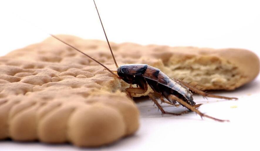 男人想要找到另一半 首先要让女人喜欢 女人最反感男人哪些恶习?